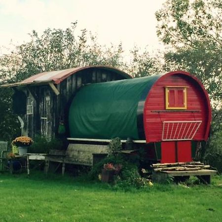 De Oude Nadorst Bed & Breakfast Groningen Luaran gambar