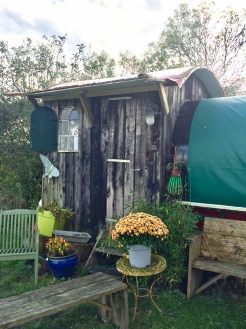 De Oude Nadorst Bed & Breakfast Groningen Luaran gambar